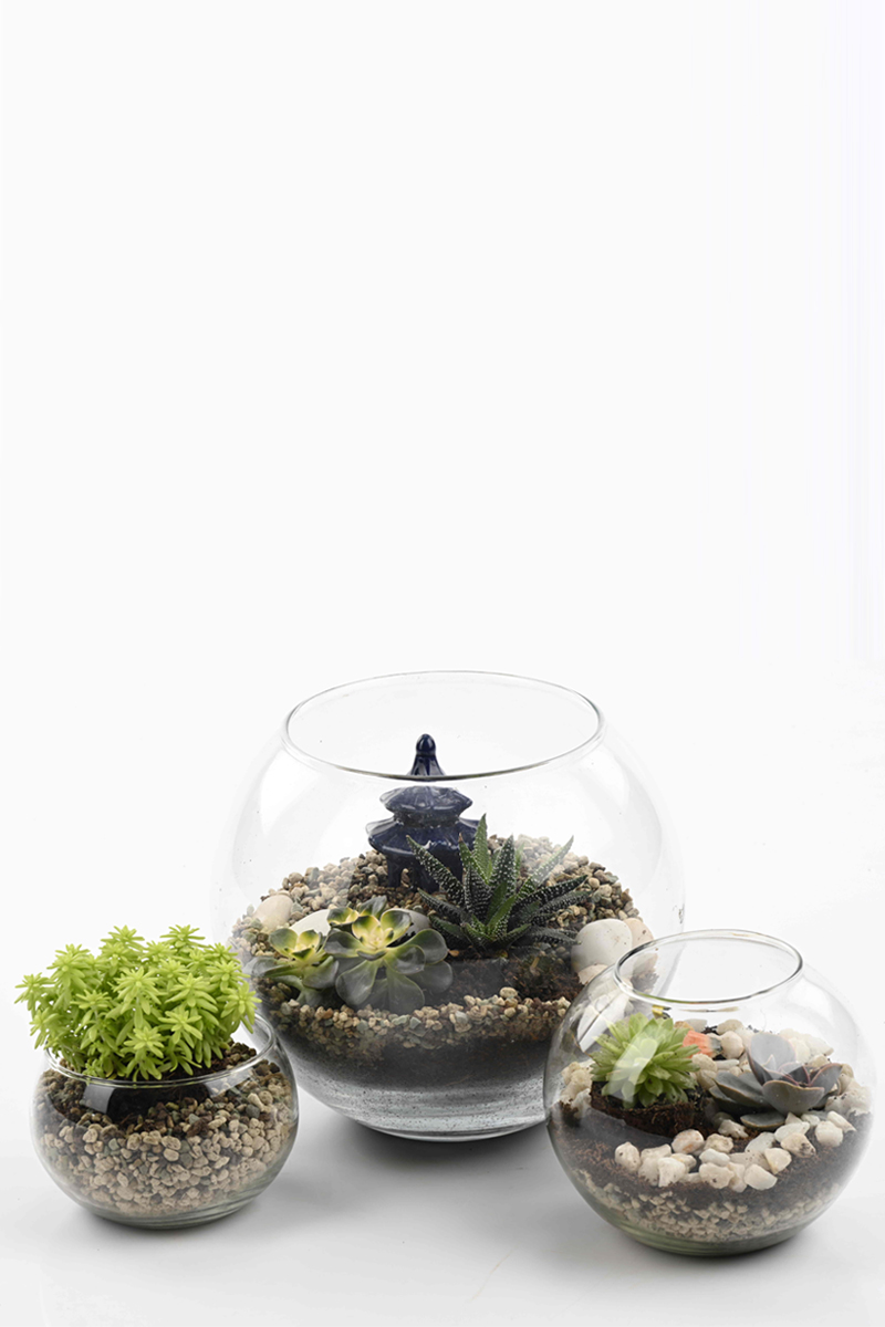 Terrarium group