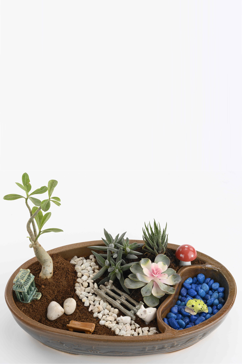 Terrarium