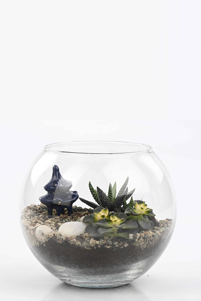 Terrarium