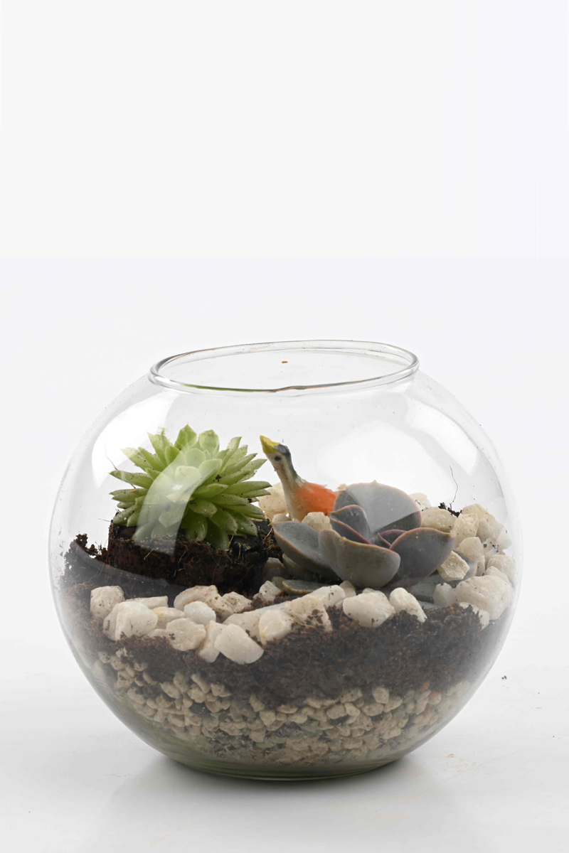 Terrarium