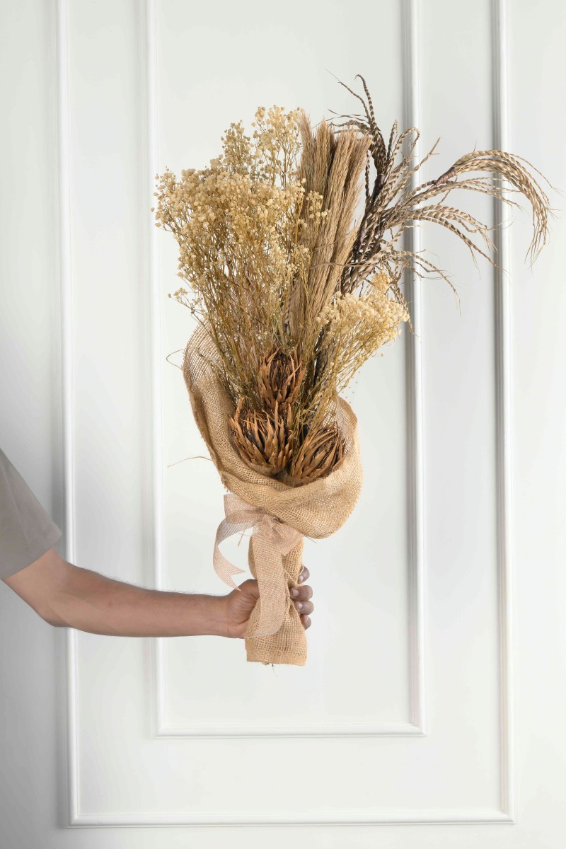 Large Green Plant 28