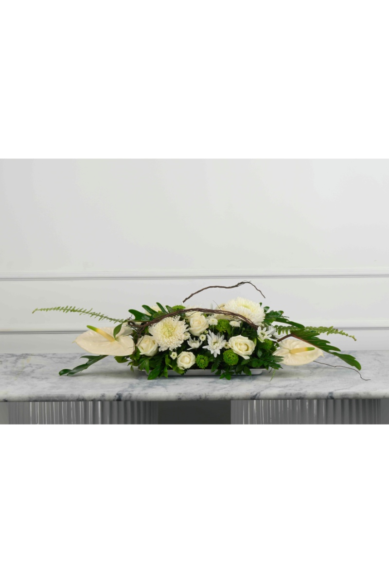 Large Green Plant 28