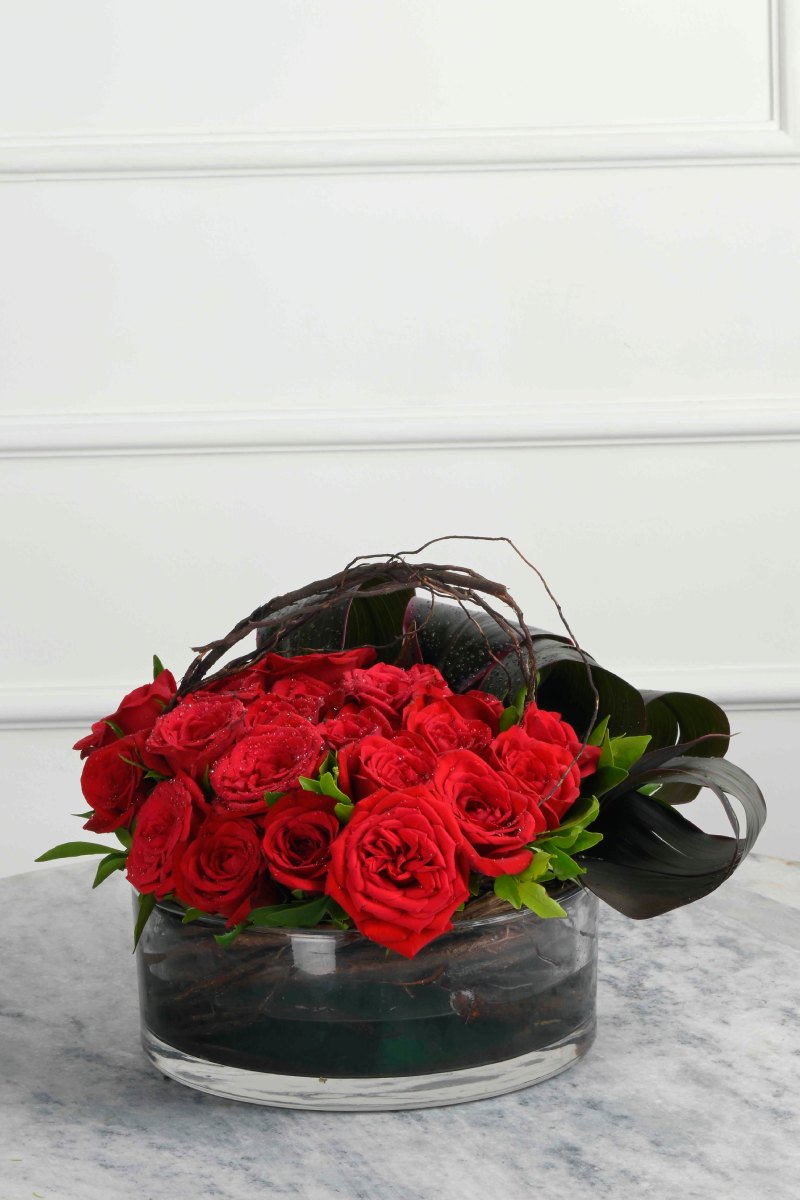 Large Green Plant 29