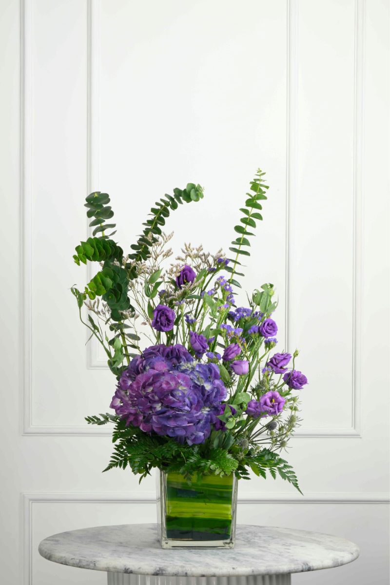 Large Green Plant 29