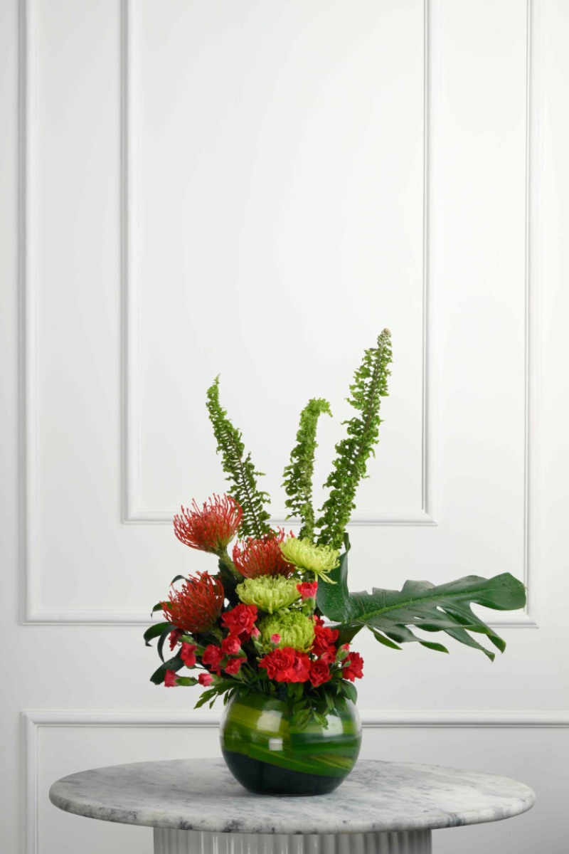 Large Green Plant 28