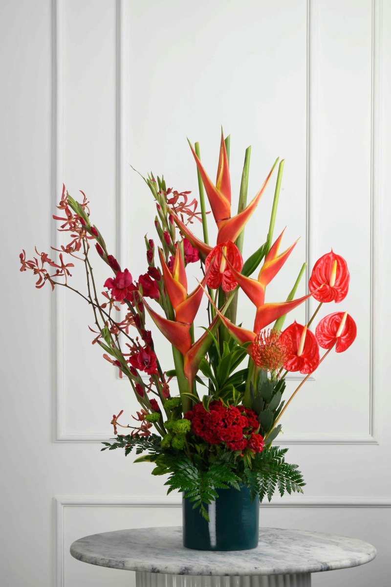 Large Green Plant 28