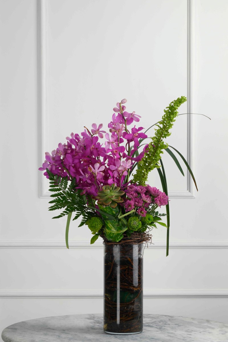 Large Green Plant 28