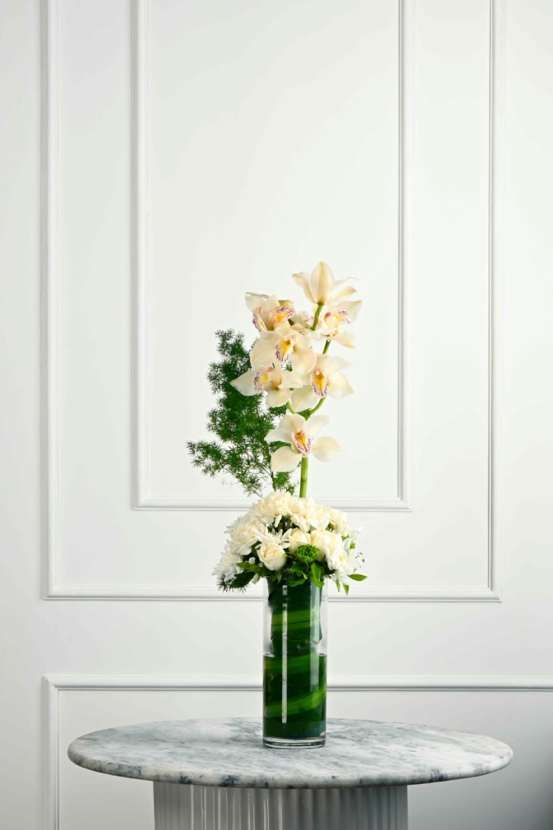 Large Green Plant 28