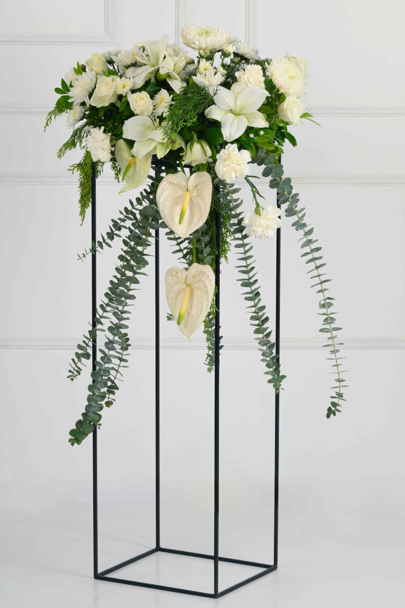 Large Green Plant 29