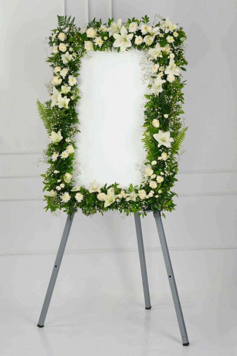 Large Green Plant 29