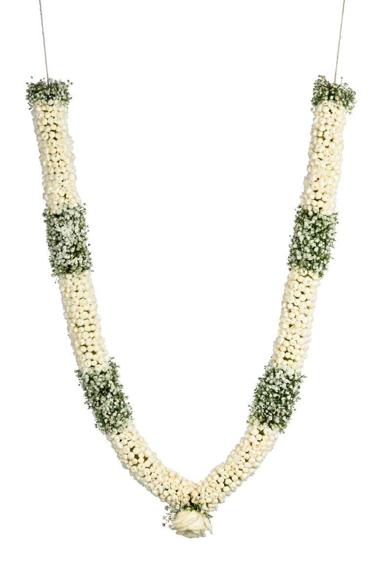 Large Green Plant 29