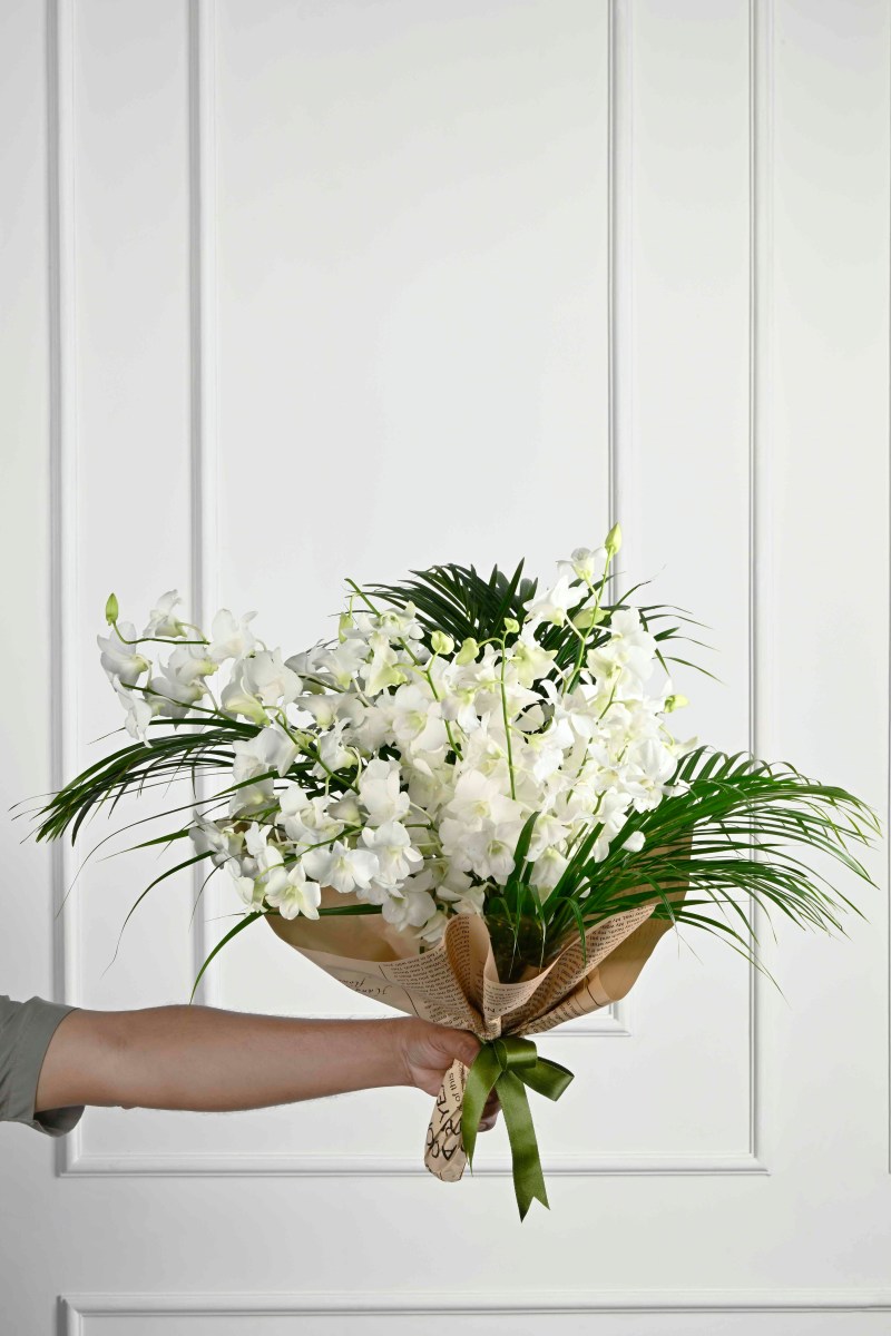 Large Green Plant 29