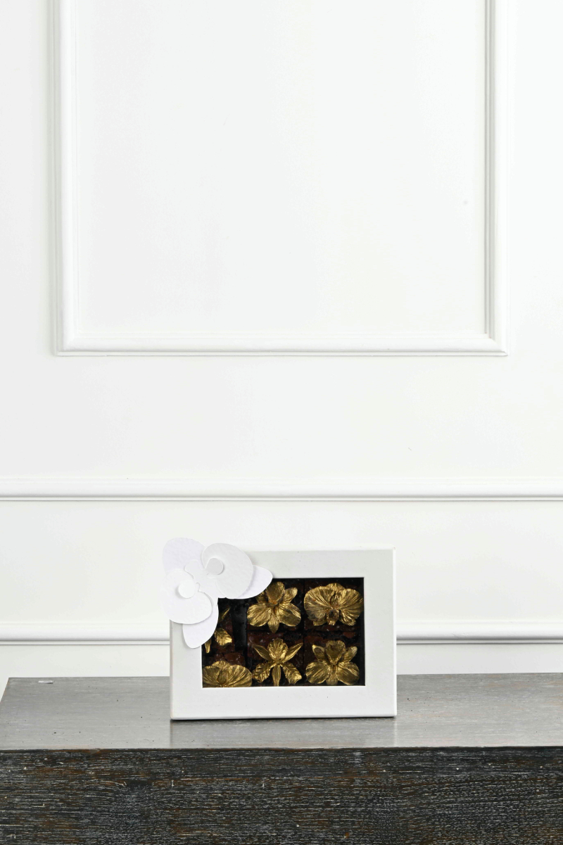 Large Green Plant 28