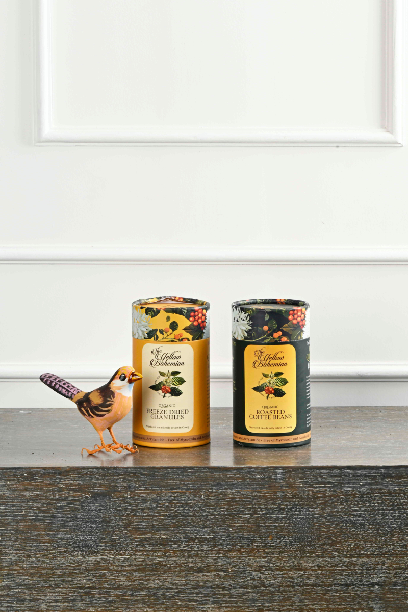 Large Green Plant 29